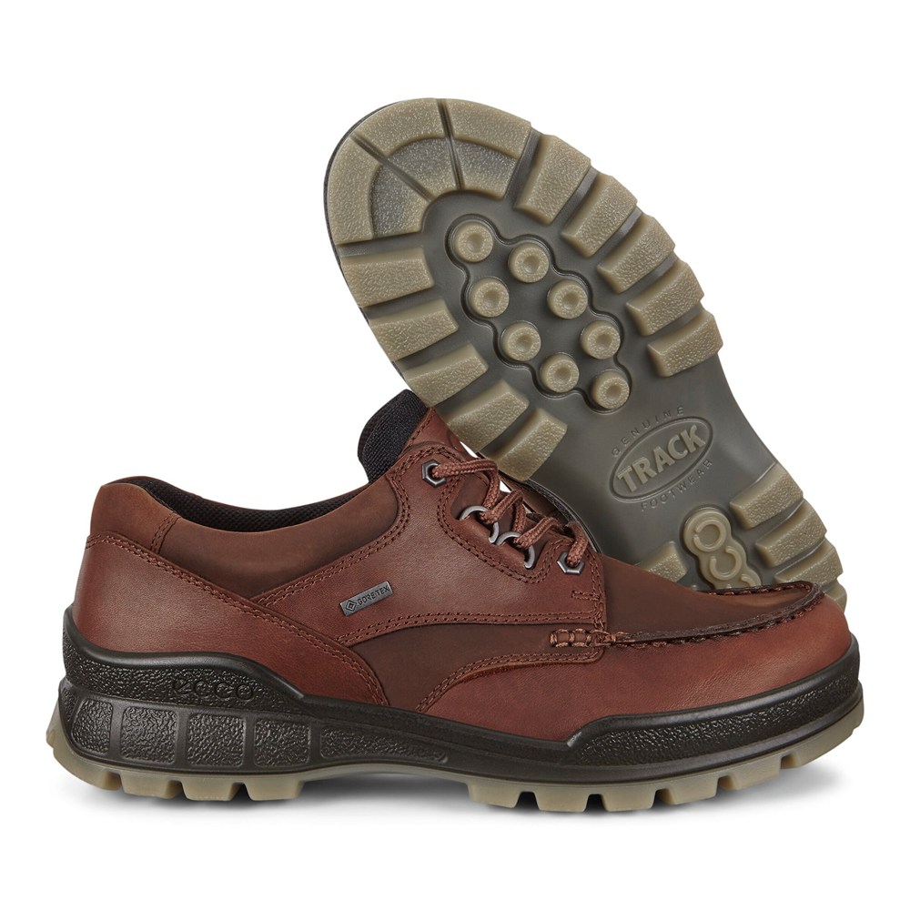 Mens Hiking Shoes - ECCO Track 25 - Brown - 6239SBWRP
